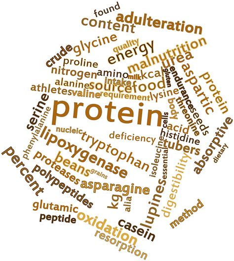 Symptoms of Low Protein - Healthier Steps