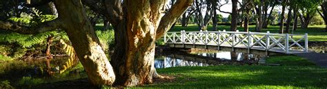 10 of Sydney’s Best Picnic Spots - PillingerPillinger