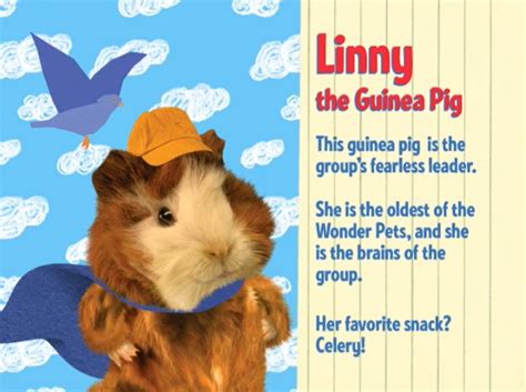 Linny the Guinea Pig by Jack1set2 on DeviantArt