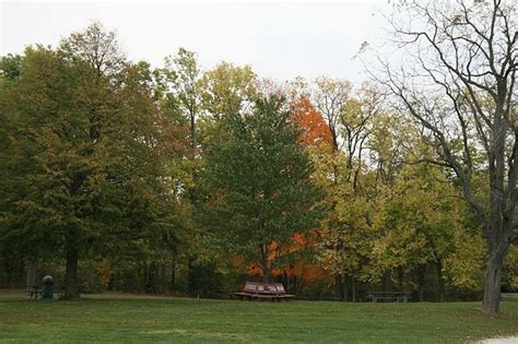 4 Popular Camping Areas in Illinois - Midwest Farm and Land Co.