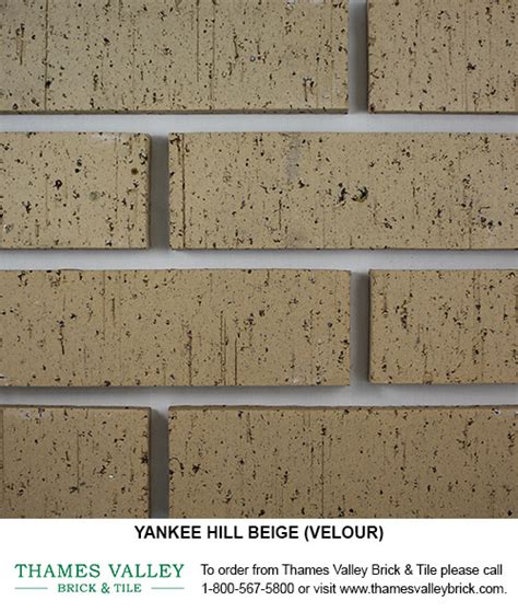 Beige - Yankee Hill Face Brick - Thames Valley Brick & Tile