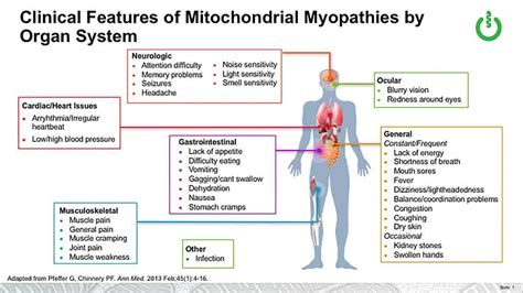 Mitochondrial Disease Symptoms - MitoAction