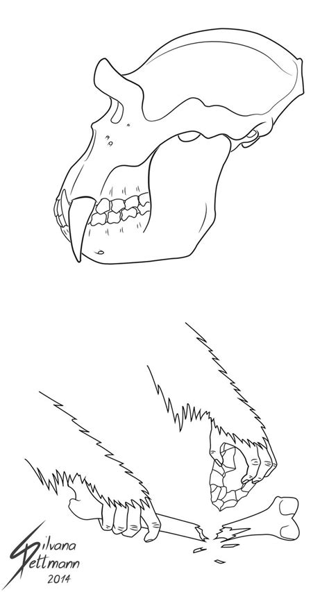 Yeti Skull by Dragunalb on DeviantArt