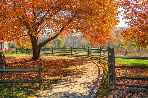 A Neighborhood Guide To Fall Foliage In Central New Jersey | Neighborhoods.com | neighborhoods.com