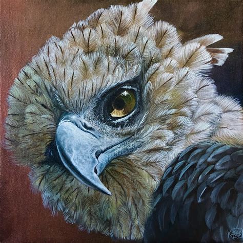 Just finished this portrait of a Harpy Eagle, oil on canvas : painting