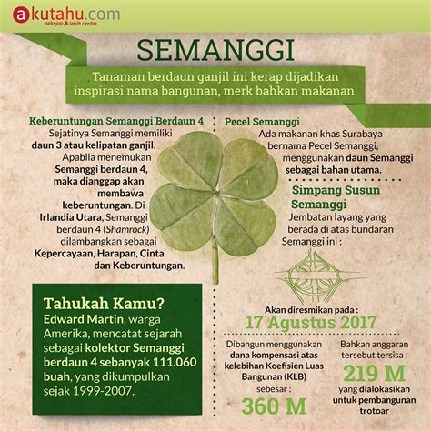 Semanggi - Akutahu.com - Sekejap Lebih Cerdas