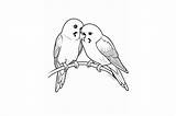 Lovebird Coloring Page For Adults Graphic By Forhadx5 · Creative Fabrica sketch template