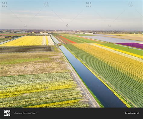 Aerial view of beautiful colorful tulip fields in Lisse, Netherlands ...