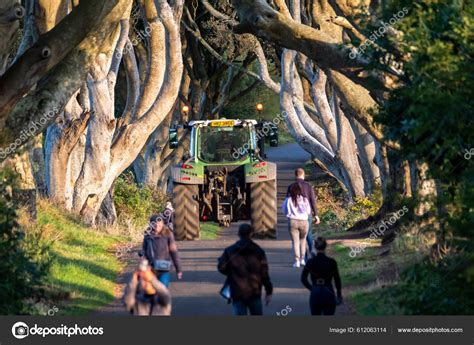 Ballymoney United Kingdom September 2022 Tourists Visiting Dark Hedges Tree – Stock Editorial ...