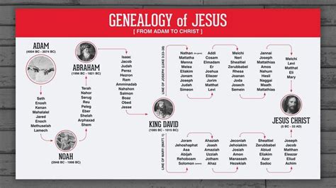 Genealogy of Jesus | Genealogy of jesus, Genealogy, Jesus