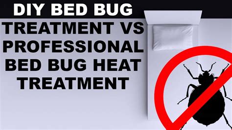 DIY Bed Bug Treatment VS Professional Bed Bug Heat Treatment - BBCTimes.org