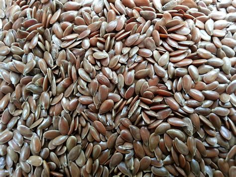 Linseeds Free Stock Photo - Public Domain Pictures