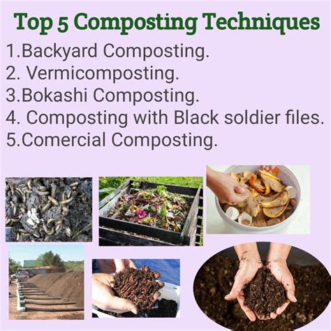 Top 5 Sustainable Composting Methods for Improving Soil Fertility and ...