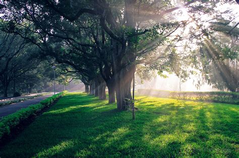 IISc Bangalore 120 photos on Behance