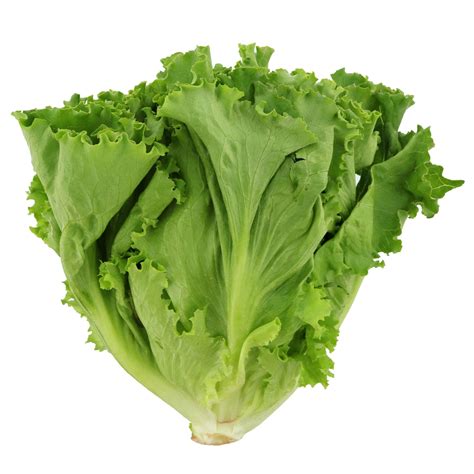 Chinese Lettuce - Market Fresh Singapore | Online Wet Market