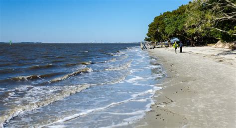 Walking on St. Andrews Beach - Jekyll Island, GA | Jekyll island georgia, Jekyll island, Beach