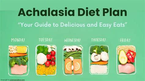 Achalasia Diet Plan: Your Guide to Delicious and Easy Eats - ScienceCodons