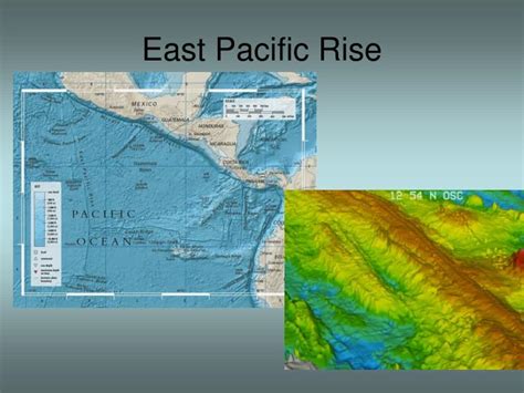 PPT - Plate Tectonics & The Ocean Floor PowerPoint Presentation - ID ...