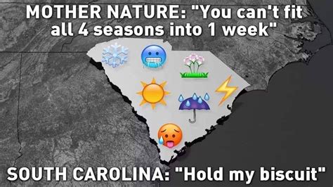 Pin by Lisa Carpenter on South Carolina | Humor, Mother nature, South ...