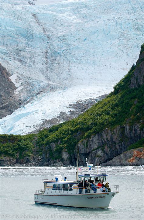 Holgate Glacier | Photos by Ron Niebrugge