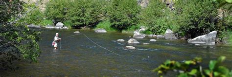 Rock Creek Trout Fishing in Montana | Montana Rock Creek Cabin