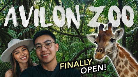 AVILON ZOO 2021(better than Manila Zoo??) 🦁 ⎮ CHEAP Entrance Fee + What ...