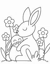 Rabbit Coloring Page sketch template