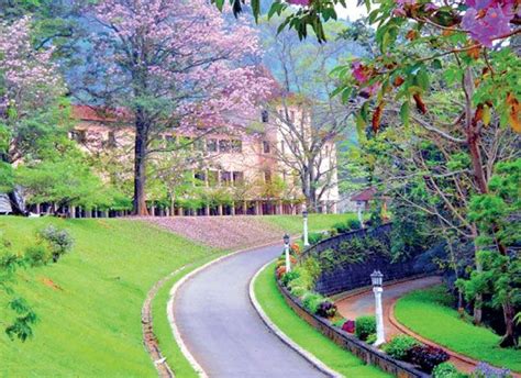 University of Peradeniya: A treasure of beauty and wisdom | Landscape, Beautiful nature, Scenic