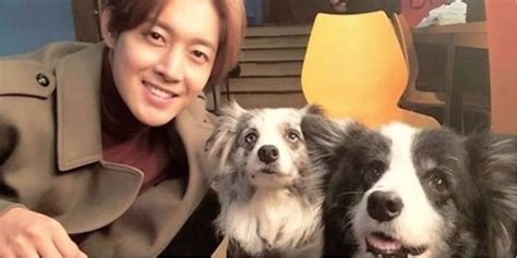 Kim Hyun Joong shows love for his pups on Instagram | allkpop