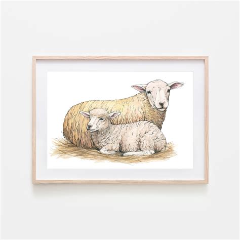 Sheep and Lamb Original Watercolor Painting - CMC art Illustrations