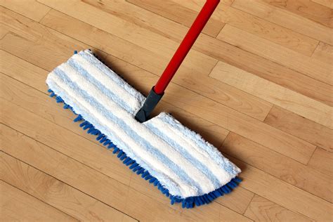 Push Broom For Hardwood Floors - Carpet Vidalondon