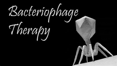 Potential of Bacteriophage Therapy against Antibiotic Resistance