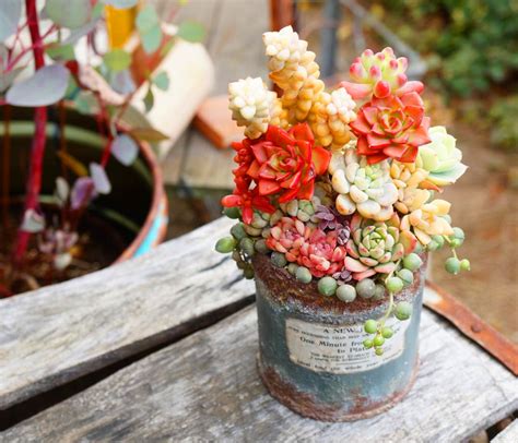 42 Amazing DIY Succulent Fairy Garden Ideas