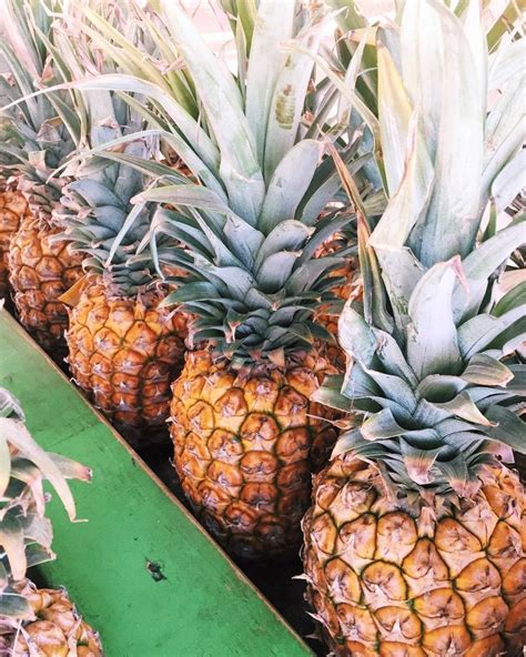 Fresh Pineapples - MAUI, HAWAII - quinnsplace.com | Adventure travel ...