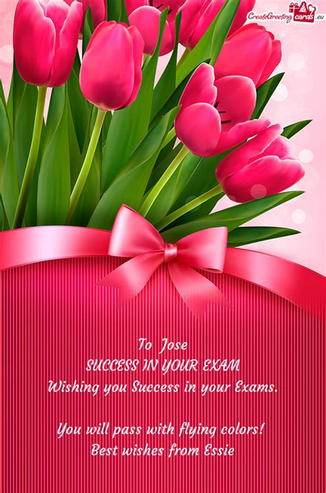 SUCCESS IN YOUR EXAM - Free cards