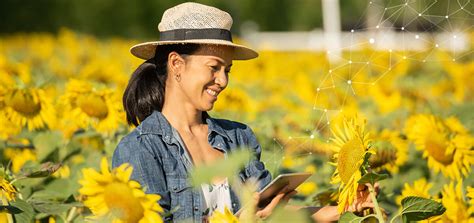 Weather Forecast as a Farmer's Ally in Planning of Field Activities