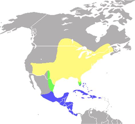 File:IndigoBuntingRangeMapCropped.png - Wikimedia Commons