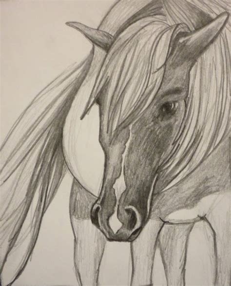 Pointsies: Horse Doodle.