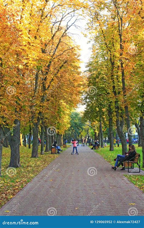 People Walk on Autumnal City Park. Season of Autumn with Yellow Foliage ...