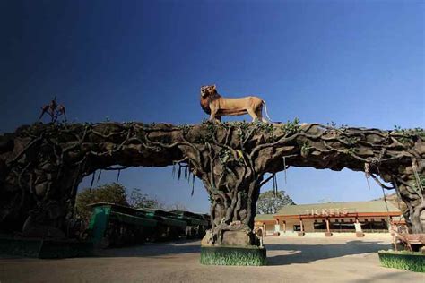 Narendra Modi | Inaugauration of A Maze Garden and A new Dense forest ...