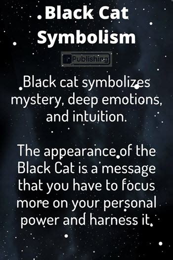 What Does It Mean When You See A Black Cat - Spiritual Symbolism