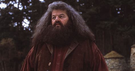 Hagrid's family | Fact# 23373 | FactRepublic.com