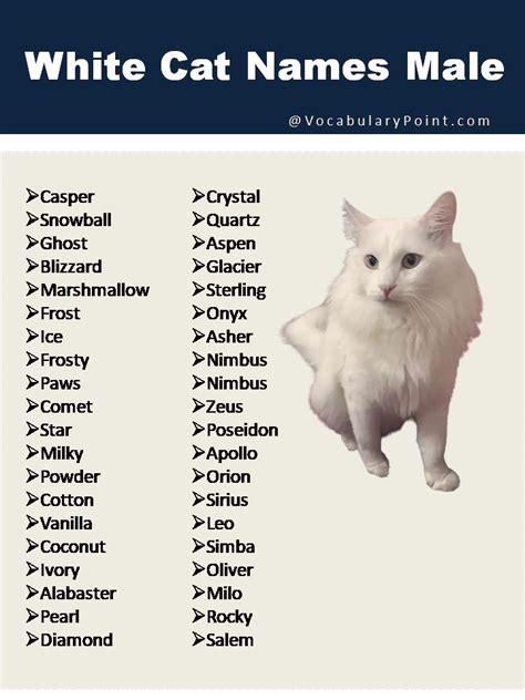 a white cat with the names of its name in front of it's image