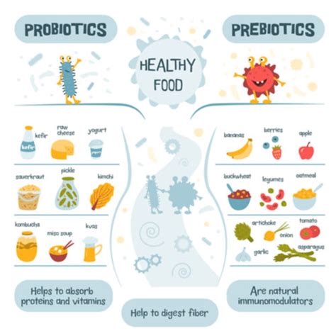 Probiotics Vs Prebiotics: Which Is The Better Food For Your Gut?