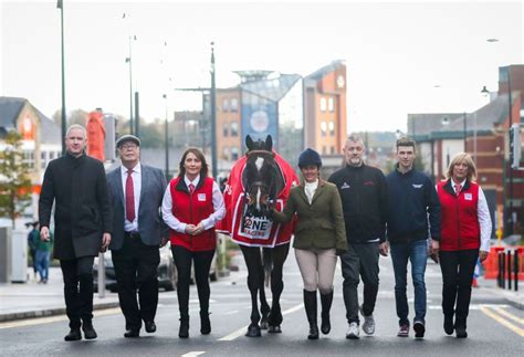 | Navanracecourse.ie