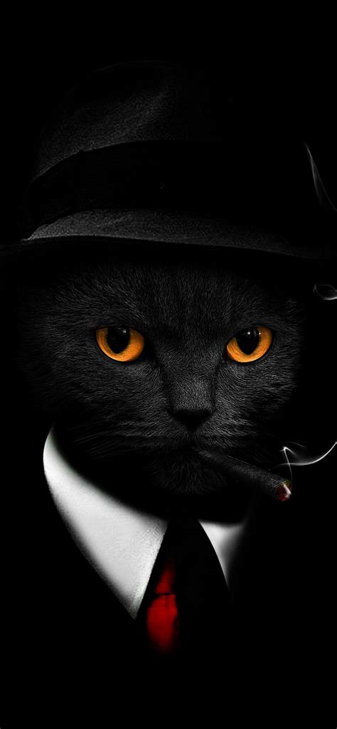 Black Cat Wallpaper 4K, Black background, Hat, Suit, Cigar, Scary ...