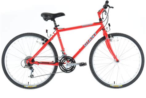 Giant Iguana - 17" - Wheel & Sprocket | One of America's Best Bike Shops