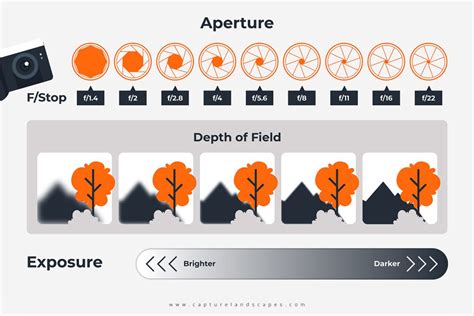 Mastering Aperture in Photography [An Essential Guide] - CaptureLandscapes