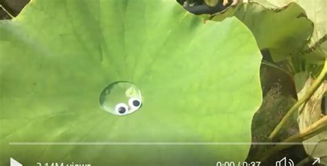 A slime appears…in real-life Japan! Command? Watch this adorable video ...