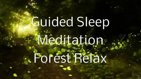 Guided Sleep Meditation FOREST RELAX By Jason Stephenson - YouTube